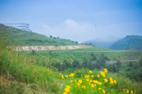 刚免费领了宜昌百里荒的门票,就来场说走就走的旅行