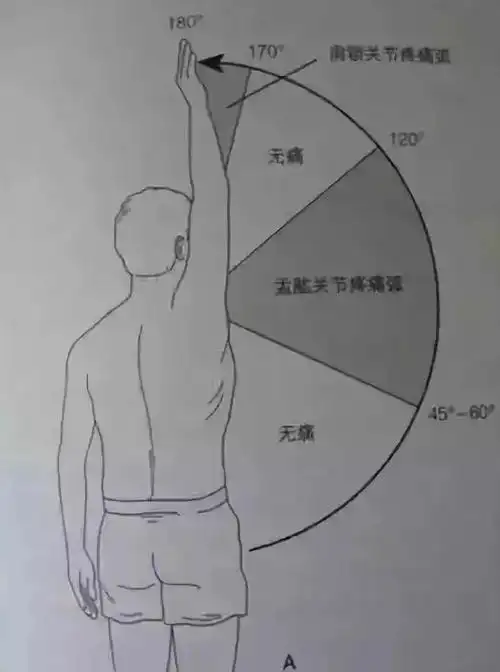 肩,肘,腕关节的查体要点