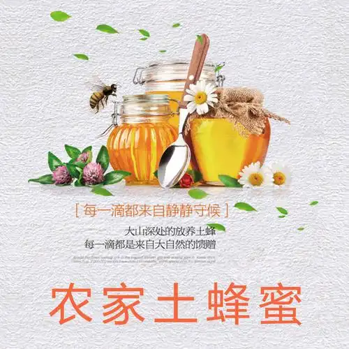 正宗天然蜂蜜百花蜜自家酿制纯野生蜂蜜纯蜜营养丰富土蜂蜜无添加