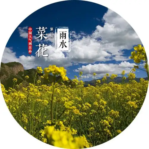 最美的约定:二十四番花信风