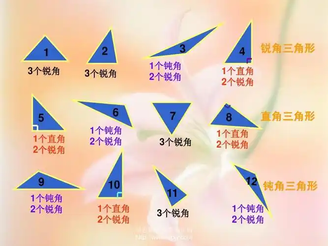 《三角形分类》ppt课件
