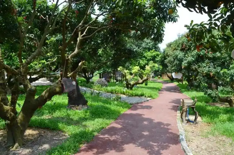 从化荔博园开园,来这里摘荔枝,科普游,感受现代农业"硅谷"