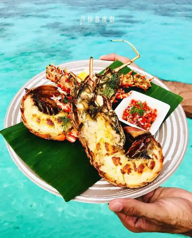 马尔代夫双泳池七星娇丽岛,人送外号"小白马"第四晚免费入住