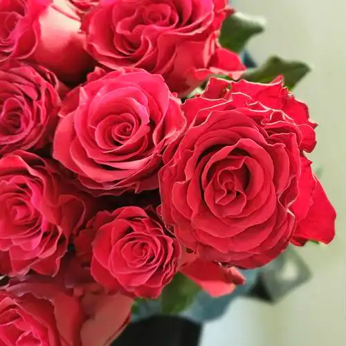 yoyo送友生日装饰典礼婚庆红玫瑰德斯花花世界罗德斯鲜花速递(同城)