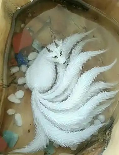 这是真的九尾狐,看看多好看 74       赞                   评论