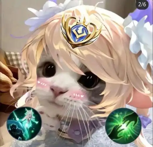 王者荣耀小猫头像大集合!🐱
