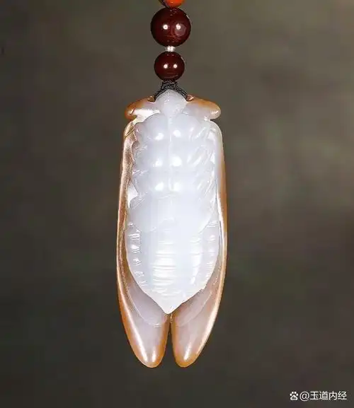 图文万粉激励计划#玉蝉作为中国传统的玉雕题材之一,以其高洁清廉