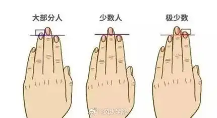 事关从事的财运或行业一,手指较长的手相依照手指的长短来看财运.