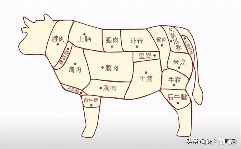买牛肉时,聪明人专挑这4个部位,肉质软嫩口感好,老板:是行家