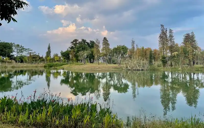 #广州的秋天 #增城增江画廊 #秋意与夕阳 #周末去哪里好 #亲亲大自然