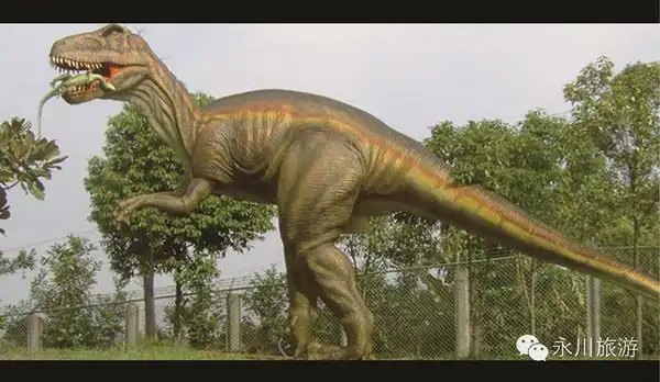 上游永川龙为何跑得这么快