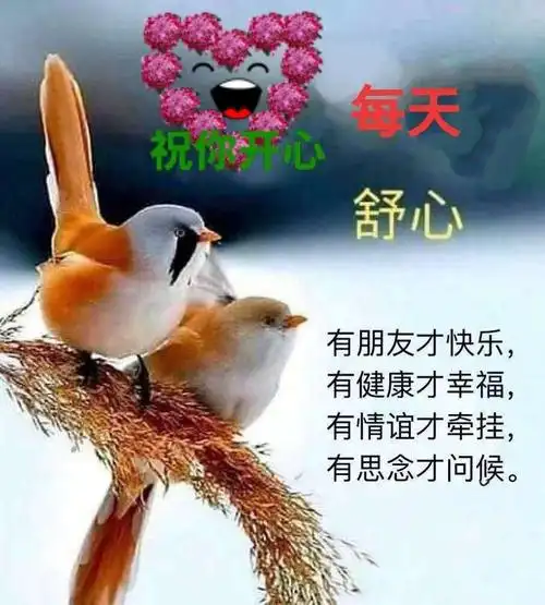 其它 早安集锦2020.10.14 写美篇花开花落花满天, 惜缘惜时惜情意!