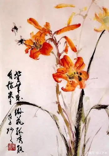 每周一画之萱草花