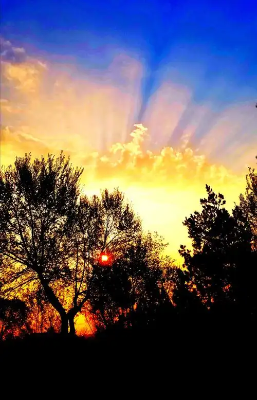 清晨的第一缕阳光