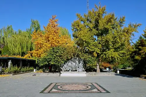 月坛公园赏秋随拍