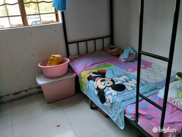 02 毛坦厂中学:把高考工厂化