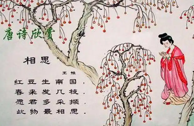 "春来发几枝".在第二句,王维进一步介绍红豆树的情况."发",生发,生长.