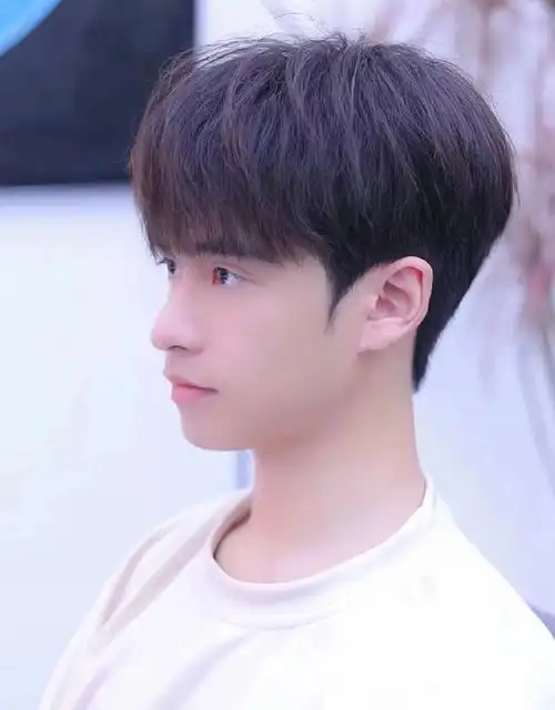 男生简洁发型