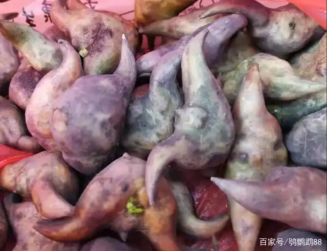 两角菱角.颜色偏黑,老一些.