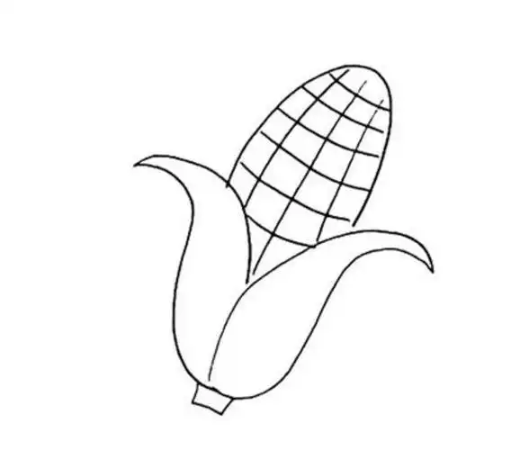 步骤教程玉米简笔画教程简笔画教程玉米绘画卡通手帐简玉米简笔画素材