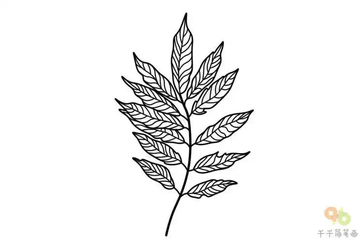 创意树叶简笔画大图