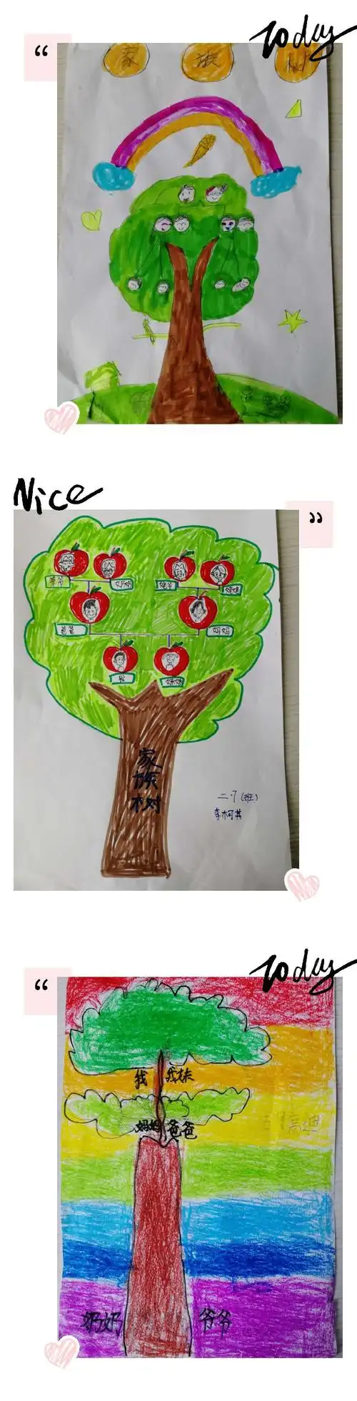 《生命不息》之枝繁叶茂的家族树