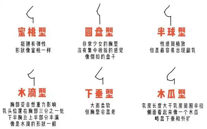 最重要的不是大小,而是胸型,胸部,对于女性来说,特别能吸引异性的目光