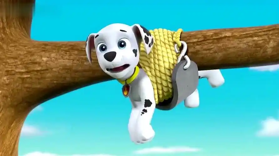 "月采亲子游戏"之早教视频:汪汪队立大功毛毛