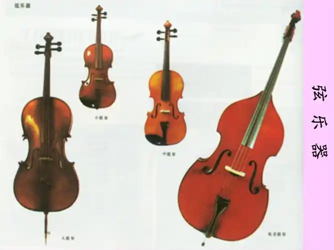 西洋乐器介绍探究.ppt