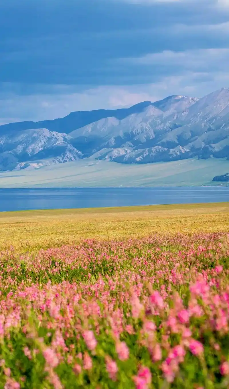 新疆赛里木湖.#一起享受大自然的美 #治愈系风景 #摄影   - 抖音