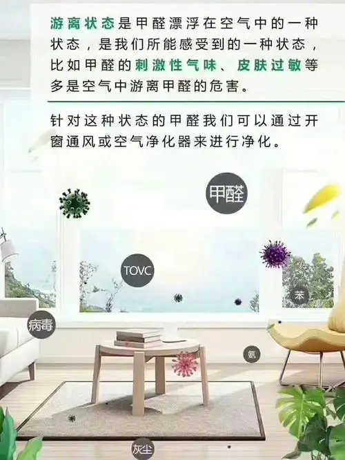 驻马店市八年专业除甲醛除味公司净康居环保