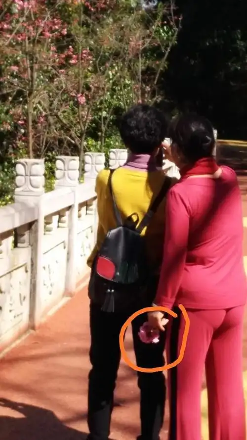 不文明乘车▲阳山生态公园,践踏草坪,攀爬树木其他不文明行为▲工人