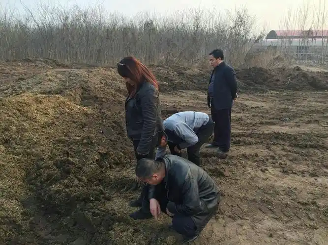 法月萍博士对蚯蚓原料调研