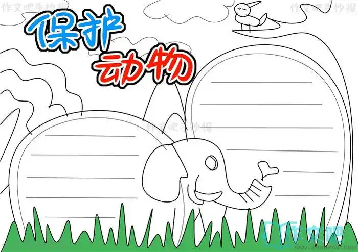 保护动物手抄报模版保护动物手抄报图片