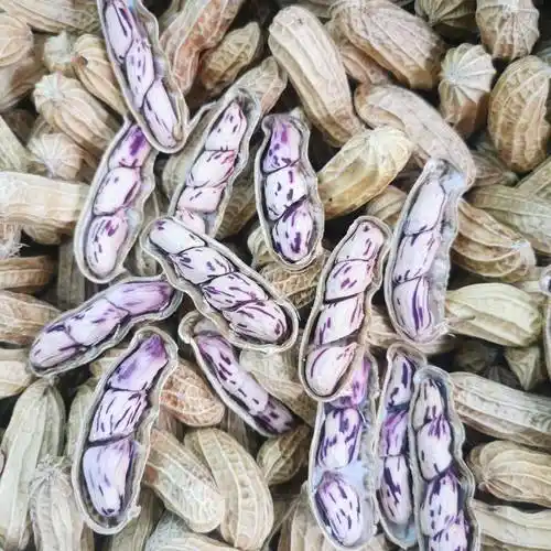 [彩色花生批发]2022年云南孟连七彩花生彩色花生黑花生源头批发价格