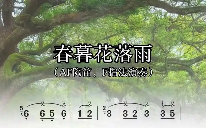 春暮花落雨,陶笛动态简谱