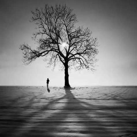 含蓄对婚姻失望的句子