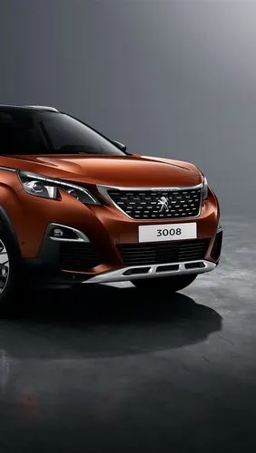 首页 汽车 标致