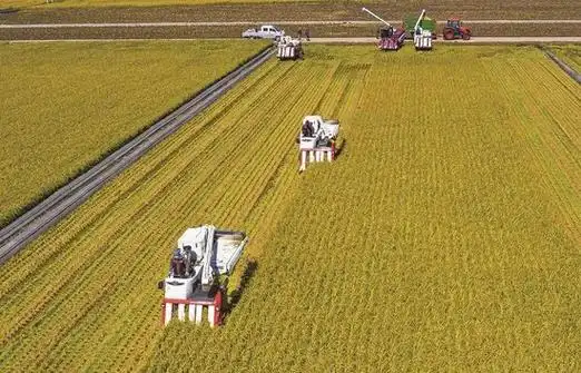 吉林市粮食大丰收.(资料图片)