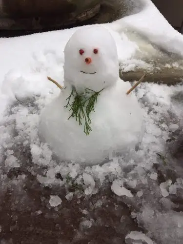 2016年第一场雪 芊芊第一次堆雪人