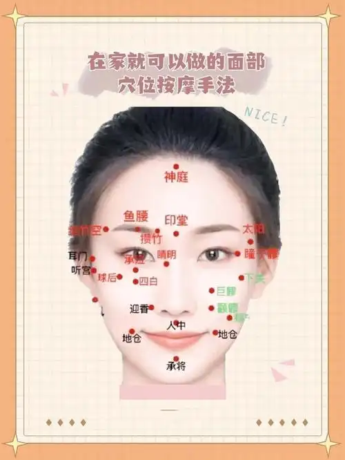 面部常用穴位名称与作用 你一定要知道的常用面部美容穴位,要知道每个