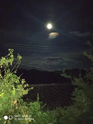 今夜我看到了月亮