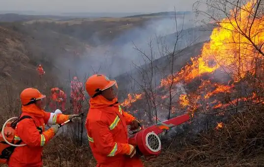 风力灭火机怎么灭火(森林火灾科学扑救的四个步骤)-深圳警用装备-特警