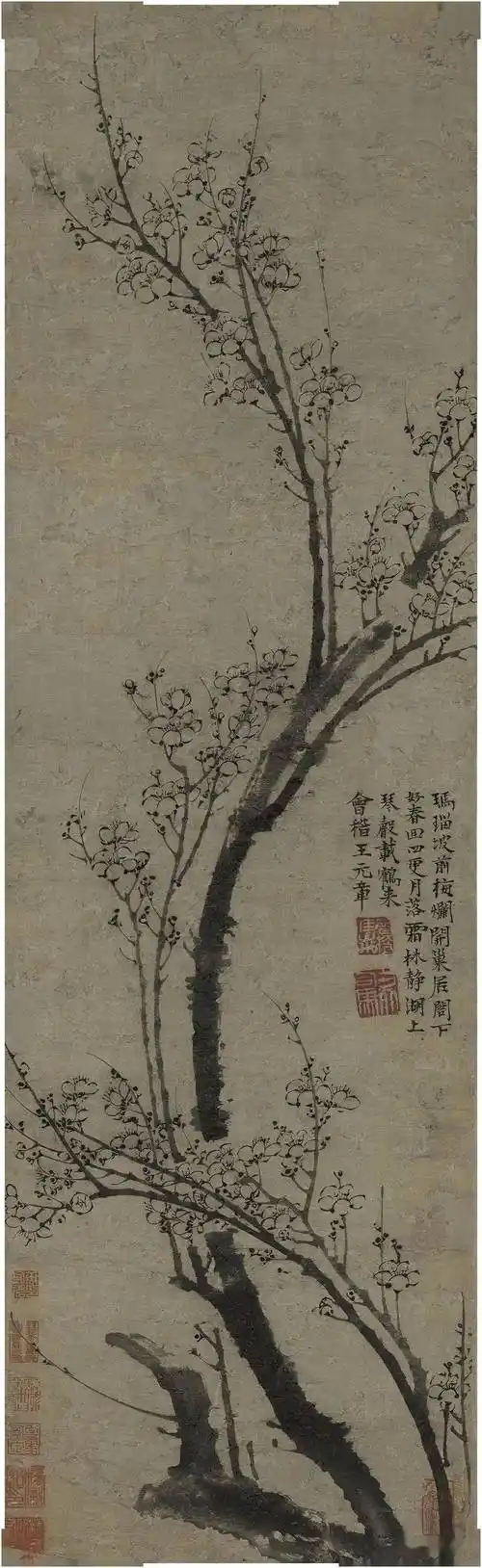 王冕:梅谱_老僧_墨梅图_龙鳞