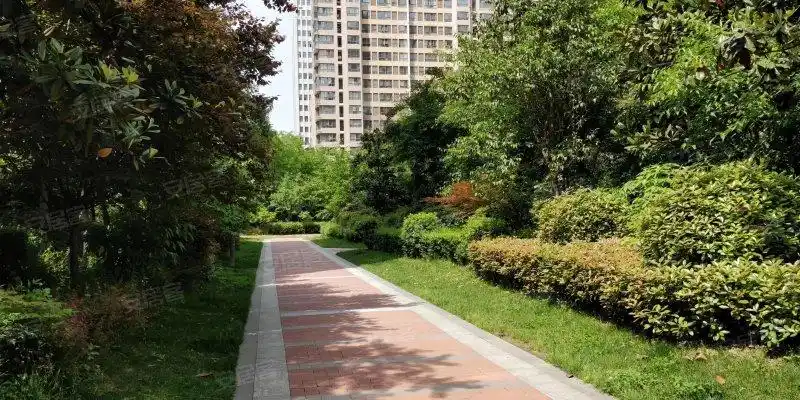 天地源枫林意树