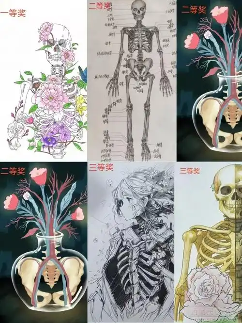 医学院举办医学专业知识歌唱大赛暨解剖绘图大赛