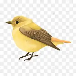 卡通黄色的小鸟免抠图中国风格花鸟画黄鸟创意卡通可爱小黄鸟我爱学习