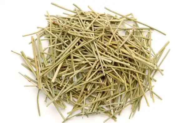 中药麻黄的图片