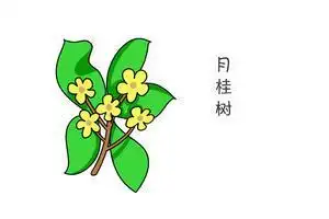 桂花简笔画儿童画如何画树简笔画月桂树的简笔画桂花简笔画桂花简笔画