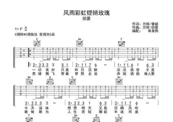 田震《风雨彩虹铿锵玫瑰》吉他谱 - c调弹唱六线谱第1张